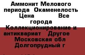 Аммонит Мелового периода. Окаменелость. › Цена ­ 2 800 - Все города Коллекционирование и антиквариат » Другое   . Московская обл.,Долгопрудный г.